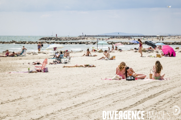 Des épis plein la côte