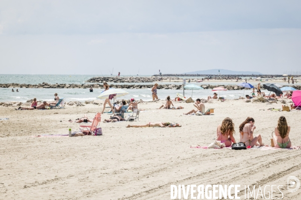 Des épis plein la côte