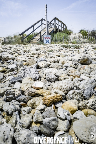 Des épis plein la côte