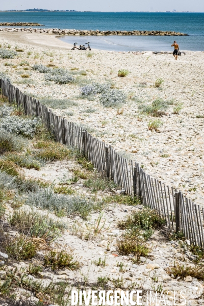 Des épis plein la côte