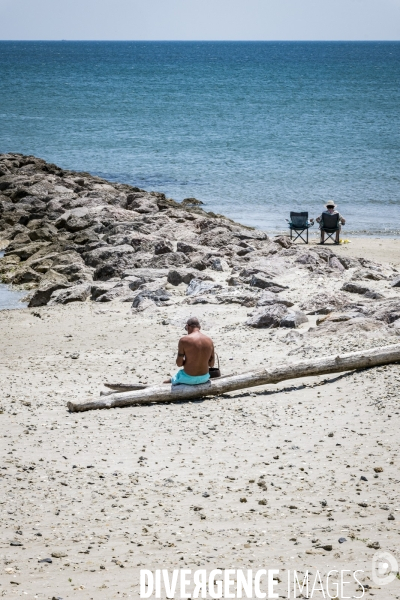 Des épis plein la côte