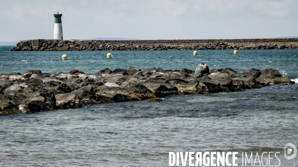 Des épis plein la côte