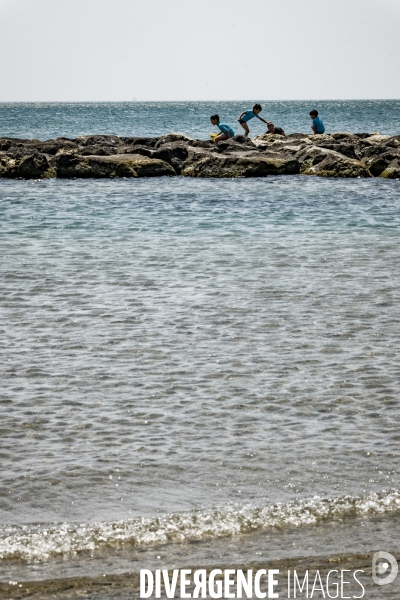 Des épis plein la côte