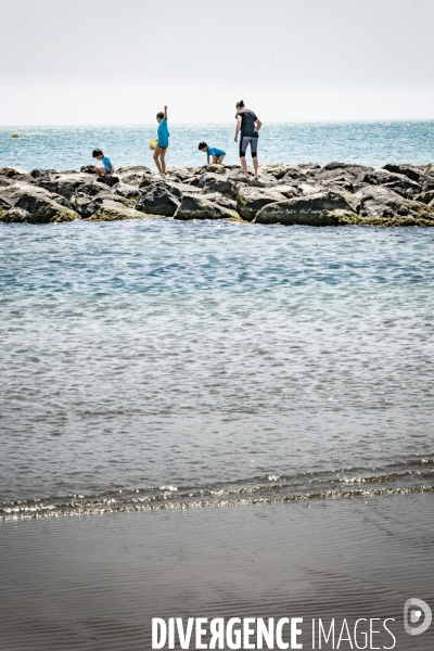 Des épis plein la côte