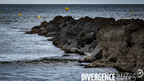 Des épis plein la côte