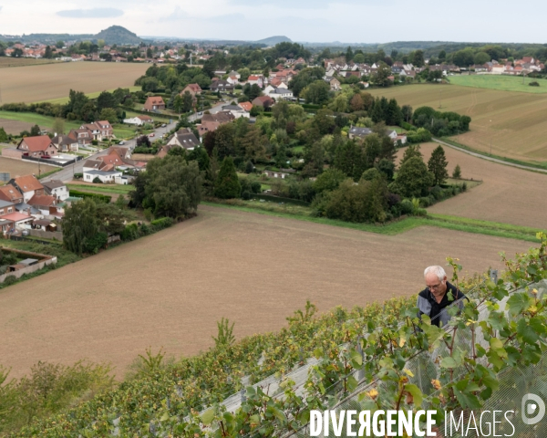 Le cht i vin du terril