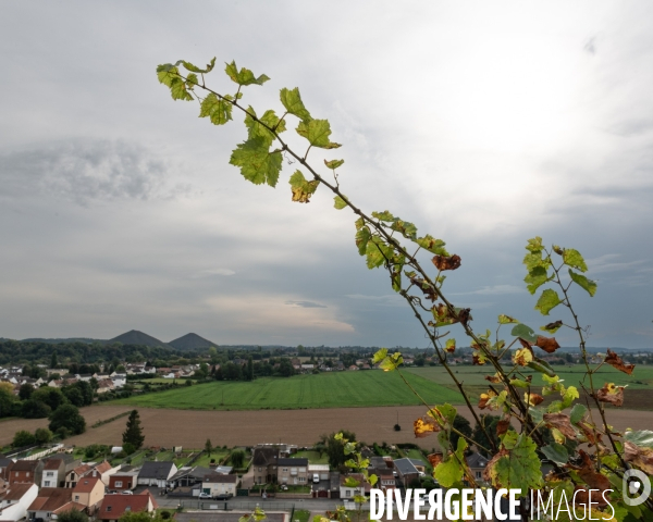 Le cht i vin du terril