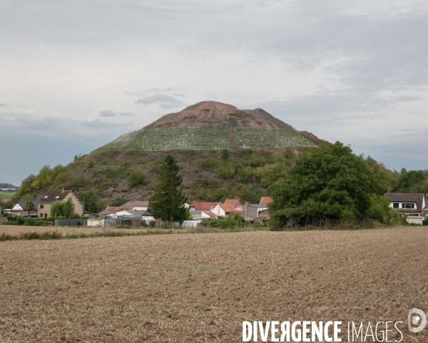Le cht i vin du terril
