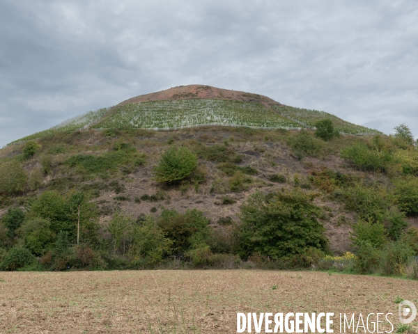 Le cht i vin du terril