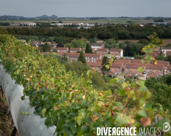 Le cht i vin du terril