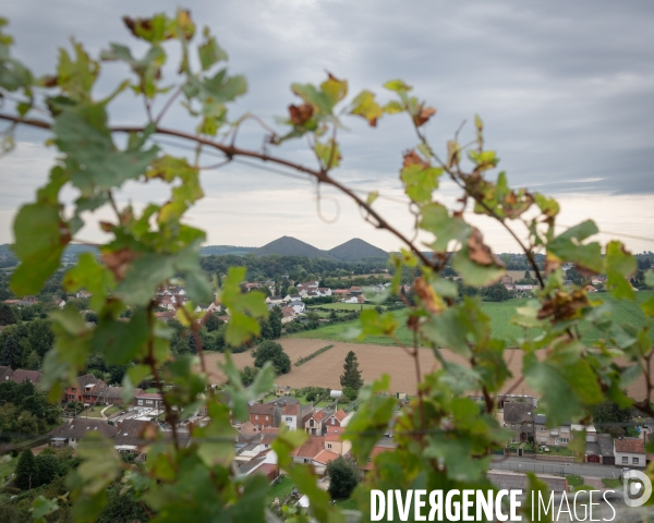 Le cht i vin du terril