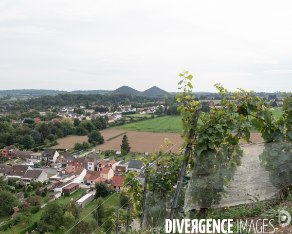 Le cht i vin du terril