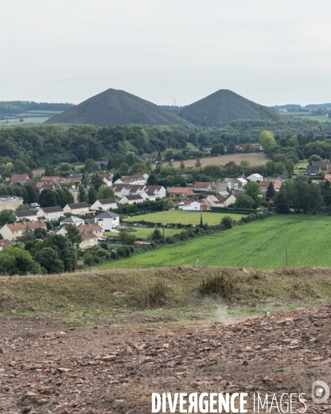Le cht i vin du terril