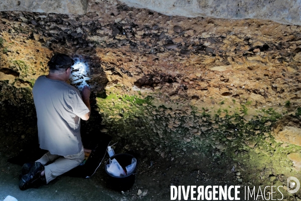 L abri préhistorique de Laugerie Basse