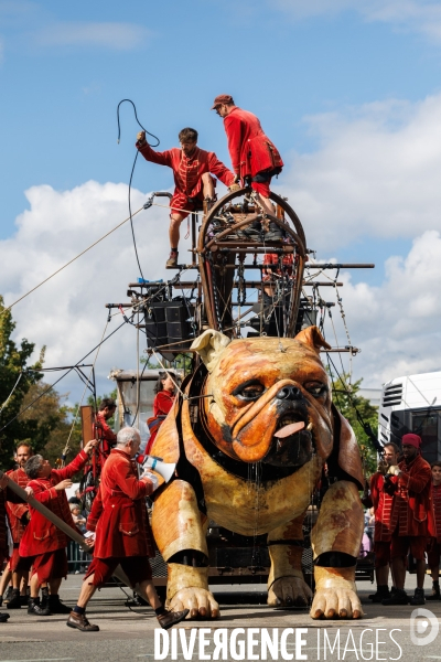 Royal de Luxe