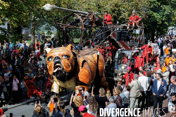 Royal de Luxe