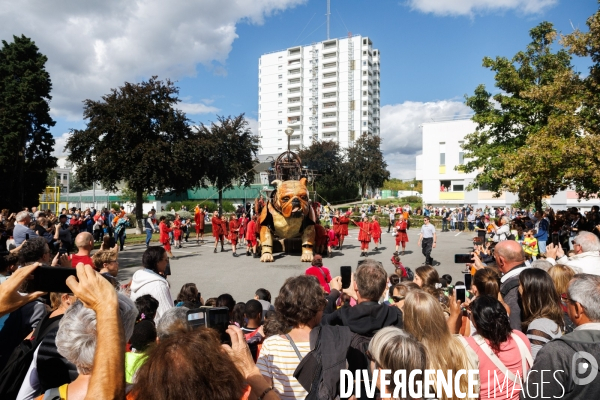 Royal de Luxe