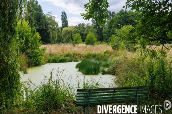 Vallée de la Millière