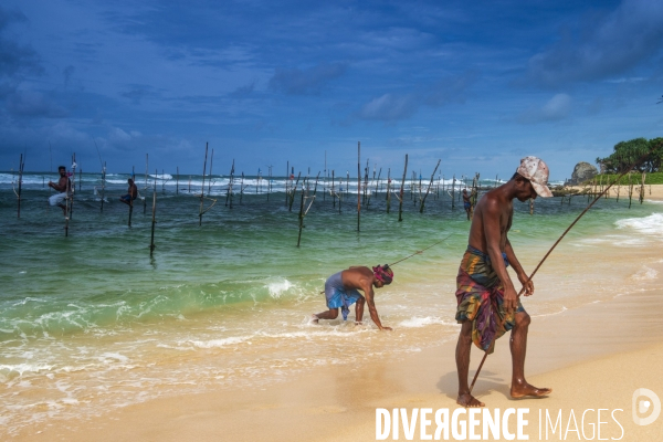 SRI LANKA : Pêcheurs sur échasses à WELIGAMA
