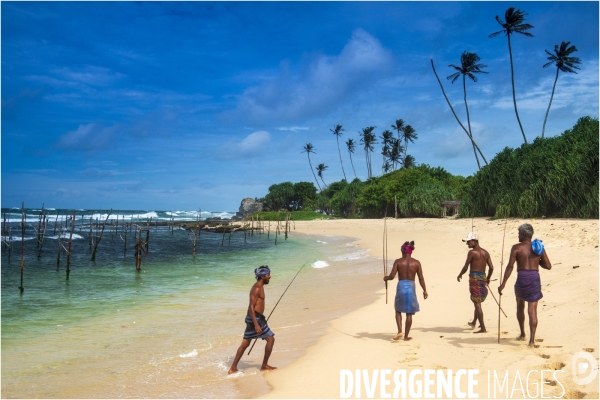 SRI LANKA : Pêcheurs sur échasses à WELIGAMA
