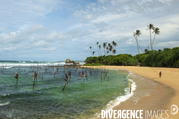 SRI LANKA : Pêcheurs sur échasses à WELIGAMA