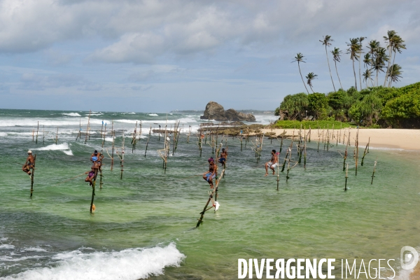 SRI LANKA : Pêcheurs sur échasses à WELIGAMA