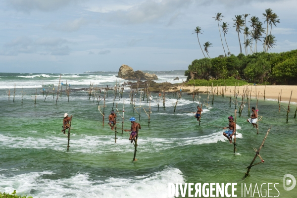 SRI LANKA : Pêcheurs sur échasses à WELIGAMA