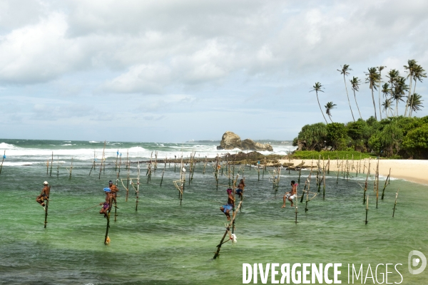 SRI LANKA : Pêcheurs sur échasses à WELIGAMA