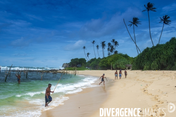 SRI LANKA : Pêcheurs sur échasses à WELIGAMA