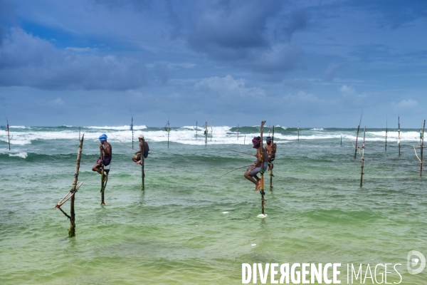 SRI LANKA : Pêcheurs sur échasses à WELIGAMA