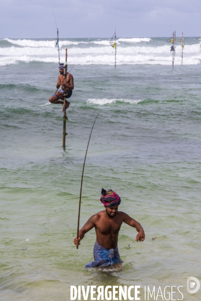 SRI LANKA : Pêcheurs sur échasses à WELIGAMA