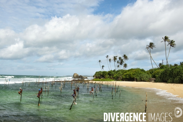 SRI LANKA : Pêcheurs sur échasses à WELIGAMA