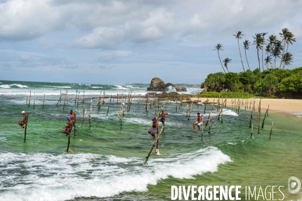 SRI LANKA : Pêcheurs sur échasses à WELIGAMA