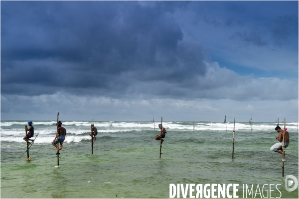SRI LANKA : Pêcheurs sur échasses à WELIGAMA