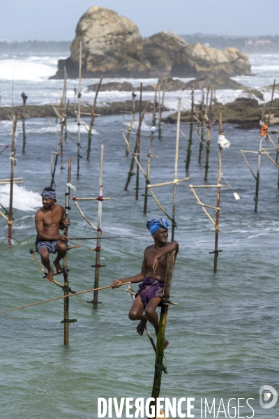 SRI LANKA : Pêcheurs sur échasses à WELIGAMA
