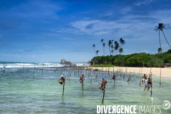 SRI LANKA : Pêcheurs sur échasses à WELIGAMA