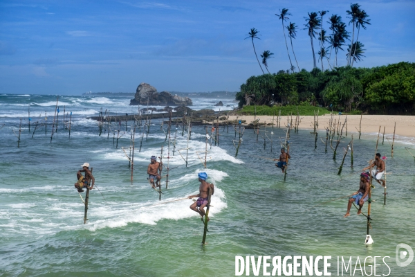 SRI LANKA : Pêcheurs sur échasses à WELIGAMA