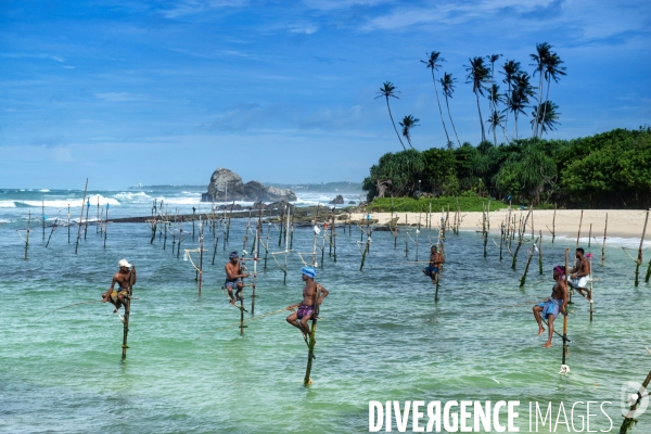 SRI LANKA : Pêcheurs sur échasses à WELIGAMA