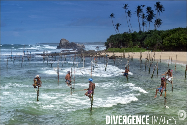 SRI LANKA : Pêcheurs sur échasses à WELIGAMA