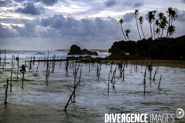 SRI LANKA : Pêcheurs sur échasses à WELIGAMA