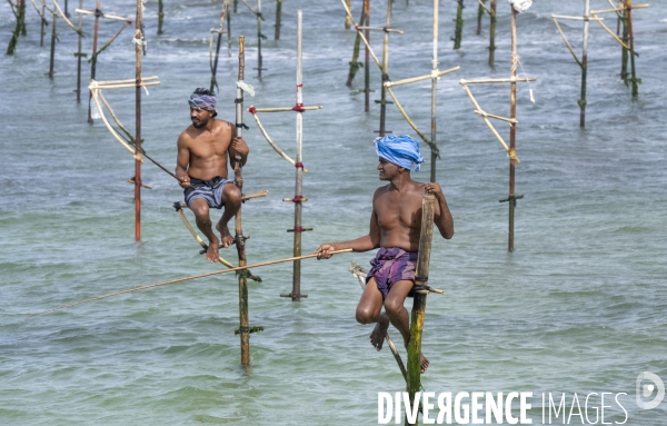 SRI LANKA : Pêcheurs sur échasses à WELIGAMA