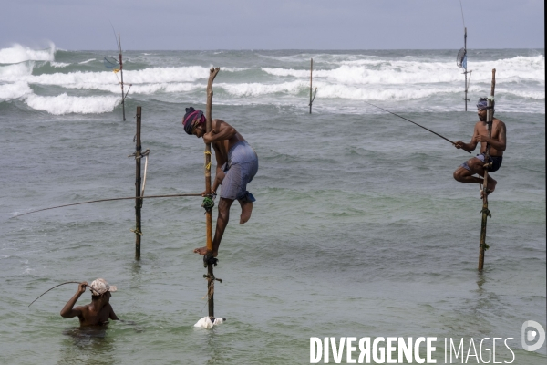 SRI LANKA : Pêcheurs sur échasses à WELIGAMA