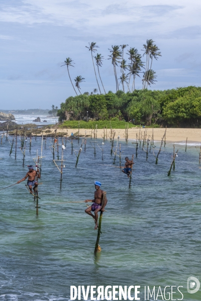 SRI LANKA : Pêcheurs sur échasses à WELIGAMA