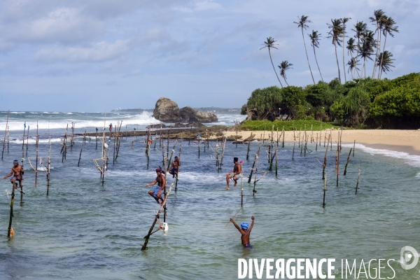 SRI LANKA : Pêcheurs sur échasses à WELIGAMA