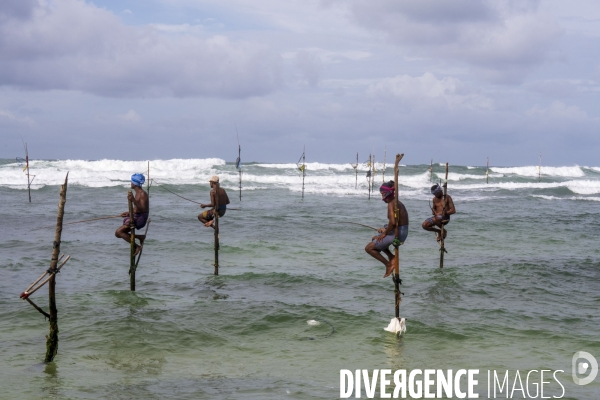 SRI LANKA : Pêcheurs sur échasses à WELIGAMA