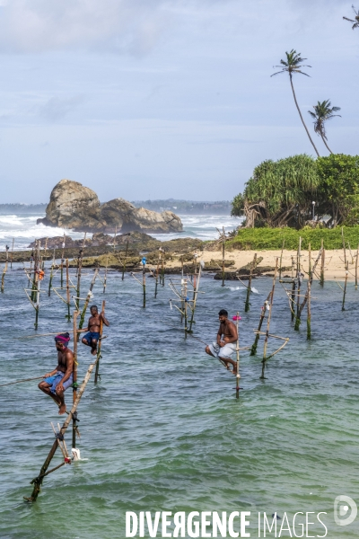 SRI LANKA : Pecheurs sur echasses a WELIGAMA