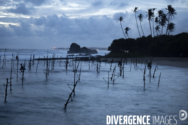 SRI LANKA : Pecheurs sur echasses a WELIGAMA