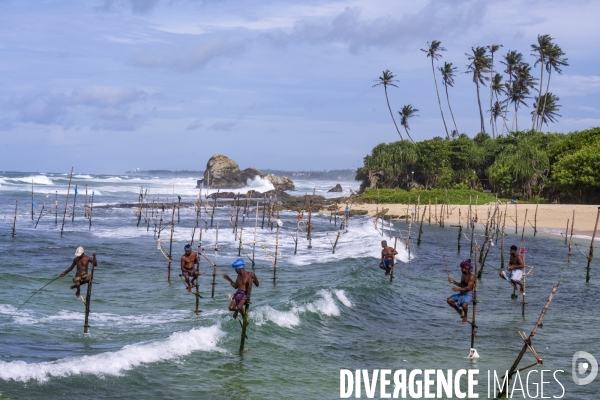 SRI LANKA : Pecheurs sur echasses a WELIGAMA
