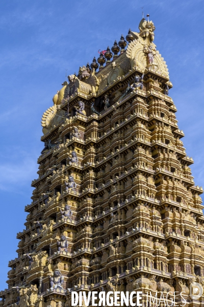 Sri lanka : festival de nallur kandaswamy à jaffna