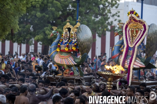 Sri lanka : festival de nallur kandaswamy à jaffna